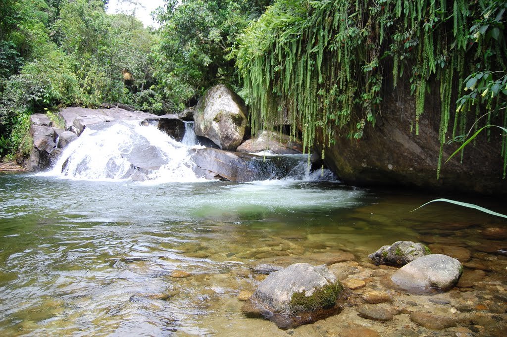 Imóvel à venda em macacu, Garopaba/SC, bairro macacu — foto do anúncio