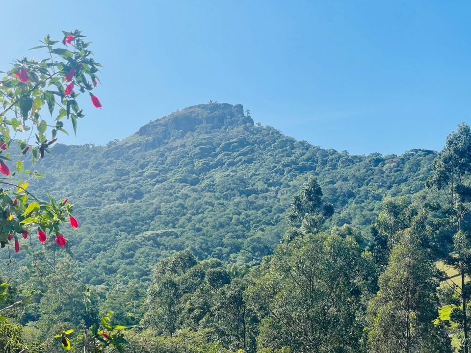 Terreno à venda em Encantada, Garopaba/SC, bairro Encantada — foto do anúncio