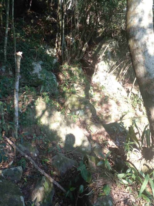 Terreno à venda em Macacu, Garopaba/SC, bairro Macacu — foto do anúncio